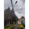 En el barrio La Arboleda están asustados con el poste  En el barrio La Arboleda están asustados con el poste