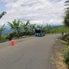 Triple absolución por homicidio en Risaralda (Caldas)