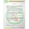 Clan del Golfo se muestra dispuesto a negociar la paz con Gobierno Clan del Golfo se muestra dispuesto a negociar la paz con Gobierno
