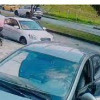 El afectado asegura que el ladrón ya cometió un hurto la semana pasada. El afectado asegura que el ladrón ya cometió un hurto la semana pasada.