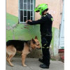 El peludo rescatado en Aranzazu.