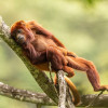 Primer lugar XVII Concurso de Fotografía Ambiental de Corpocaldas y Chec