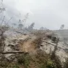  Así quedaron los terrenos de la finca Termopilas, en Aranzazu, tras el incendio forestal. 