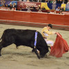 Simón Hoyos, novillero manizaleño, en un forzado de pecho con rodilla a tierra en la novillada sin picadores de la XXIV Temporada de Toros y Ciudad que se desarrolla durante este fin de semana en la Plaza de Toros de Manizales.