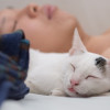 Es-malo-dormir-con-gatos Un hombre y un gato durmiendo en la misma cama