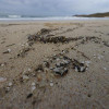 Se estima que hay entre cinco y 50 mil millones de microplásticos en el mar. Se estima que hay entre cinco y 50 mil millones de microplásticos en el mar.