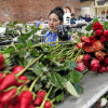 700 millones de rosas envía cada año Colombia a las floristerías de todo el mundo por San Valentín. 700 millones de rosas envía cada año Colombia a las floristerías de todo el mundo por San Valentín.