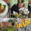 Expertos definen las fortalezas y las actividades que Manizales puede explotar para atraer más inversión extranjera y turismo.