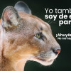 Con esta imagen Corpocaldas invitó a la comunidad de la vereda Montaño a tener en cuenta recomendaciones para ahuyentar al puma. 