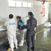 Inspección técnica a cadáver