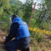 Las labores de desminado duraron cinco años en Marulanda. Las labores de desminado duraron cinco años en Marulanda.