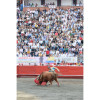 Serán tres años más que se podrán hacer corridas de toros en Manizales.