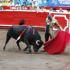 Se tendrá un período de tres años para la reconversión de la actividad económica de quienes se dedicaban hasta ahora a la tauromaquia.