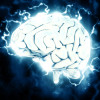 Brain Cerebro