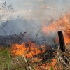 Hay alrededor de 15 incendios forestales activos en el país. En la foto, uno de los que se extienden en el Huila. Hay alrededor de 15 incendios forestales activos en el país. En la foto, uno de los que se extienden en el Huila.