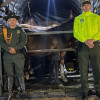 Según las autoridades, el hurto de los caballos ocurrió en la madrugada del domingo y los recuperaron en la noche de ese mismo día. Según las autoridades, el hurto de los caballos ocurrió en la madrugada del domingo y los recuperaron en la noche de ese mismo día.