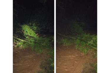 La vía entre la vereda Santágueda y el corregimiento de Arauca (Palestina) está cerrada en el kilómetro 35 por un desprendimiento de tierra. Hay maquinaria en la zona.  