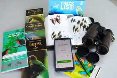 Binoculares, guías de aves, libretas de campo y la aplicación eBird son herramientas para pajarear. 