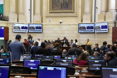 Foto / Cortesía del Congreso de la República / LA PATRIA  Sesión en el Senado. 