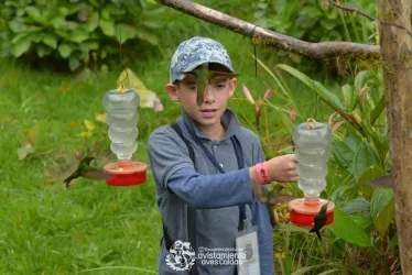 El programa de Clubes de Avistamiento de Aves es una estrategia que busca promover la conservación de las aves