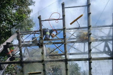 Hasta abejas, en la acústica Foto | Cortesía para LA PATRIA