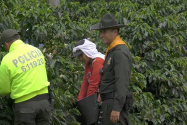 El Departamento de Policía Caldas adelanta operativos para garantizar la seguridad en la cosecha.