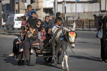 Los carros tirados por burros o los mismos burros son ahora la única alternativa de transporte en Gaza.