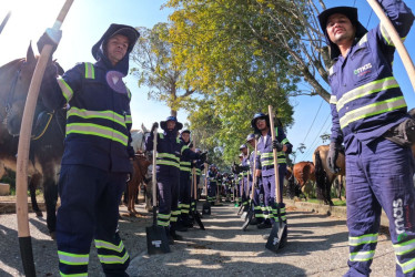 Emas by Veolia cabalgata Feria de Manizales