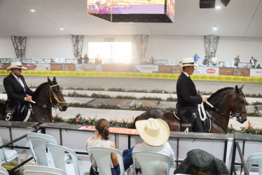 La yegua Sonsoneña de J.C. (a la derecha) en la competencia.