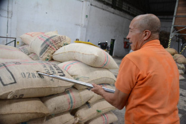 Hoy se tienen promedios de cafés con broca de hasta el 8%. Así mismo, el averanado se trepó 15% en promedio.