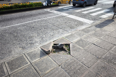 Foto | Cortesía | LA PATRIA Según el denunciante, la situación del árbol la padecen desde hace un año aproximadamente. 