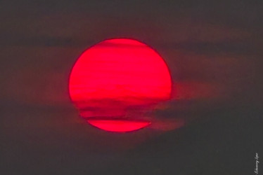 Esta reacción a fenómenos naturales se puede observar al amanecer o al atardecer.