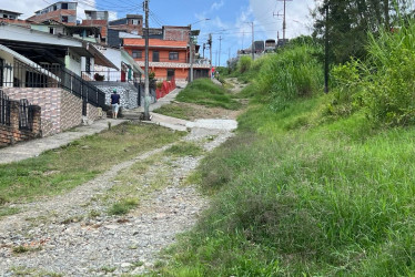 Foto | Albeiro Rudas | LA PATRIA  En la vía no transitan vehículos, permanece abandonada y el pasto se apoderó del tramo.