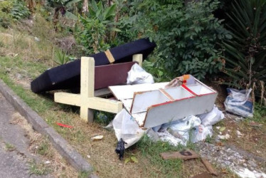 Desechos orgánicos y sólidos son lo que botan en el barrio.