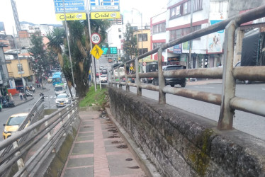 Pilas de excremento amanecen todos lo días en este sendero peatonal.