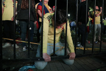 Un hincha se lamenta tras la derrota de la selección Colombia durante la final de la Copa América entre Colombia y Argentina este domingo, en el parque de la 93, en Bogotá