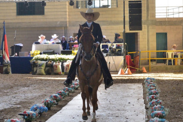 Los caballos se exhibieron durante la XXXVII Exposición Equina Grado B de Salamina (Caldas).