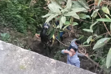 Este es el sitio al que cayó el caballo con su jinete. Después de rescatar al animal tuvieron que sacrificarlo por un fractura en una de sus patas.