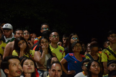 Así vivieron los últimos minutos de la final de la Copa América entre Colombia y Argentina los hinchas que asistieron a ver el partido en el Parque de la Mujer, en Manizales.