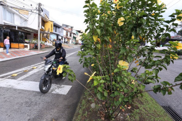 Evidencia de los testigos del siniestro vial en la Avenida Kevin Ángel. También se puede observar el largo de las plantas que habría ocasionado el incidente.