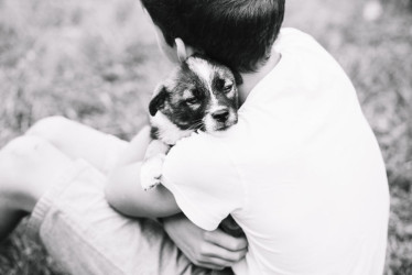 Según el experto, no es recomendable que los padres reemplacen una mascota con otra.