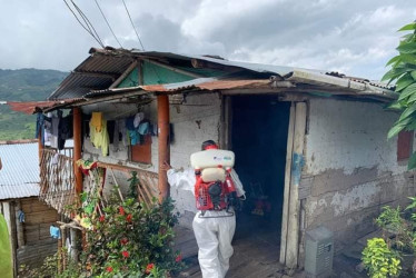 Fumigación contra el dengue en barrio San Isidro