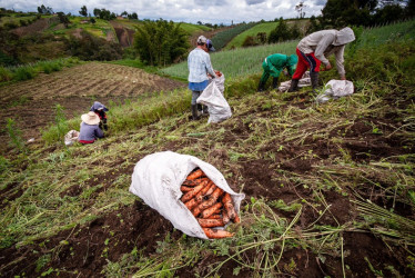 Con subsidios a la tasa de interés y periodos de gracia, Finagro y el Banco Agrario buscan acelerar la compra de tierras. Repase el abecé para acceder al beneficio que impulsa la reforma agraria, también  conocida como Reforma Rural Integral (punto 1 del acuerdo de paz firmado con las Farc).