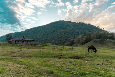 volcán Cerro Machín 