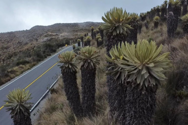 Este fin semana comienza la implementación del pico y placa ambiental en la vía Manizales - Murillo.