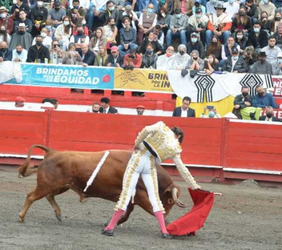 Roca Rey echa dos manos a una tarde sin salvación Torero y Toro en plaza de toros manizales