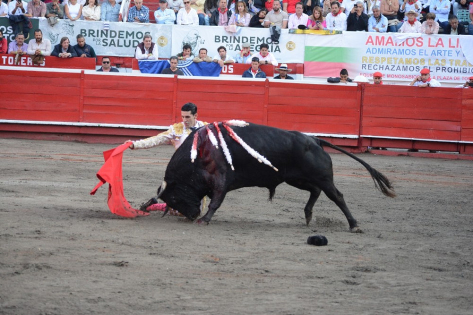 Alejandro Talavante de rodillas en su primer toro de la tarde.  Alejandro Talavante de rodillas en su primer toro de la tarde.