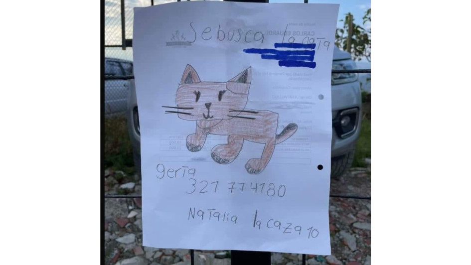 Una menor de edad, vecina de Cerro de Oro en Manizales, dibujó a su gata perdida en carteles que compartió en la calle. La pudo hallar. Una menor de edad, vecina de Cerro de Oro en Manizales, dibujó a su gata perdida en carteles que compartió en la calle. La pudo hallar.