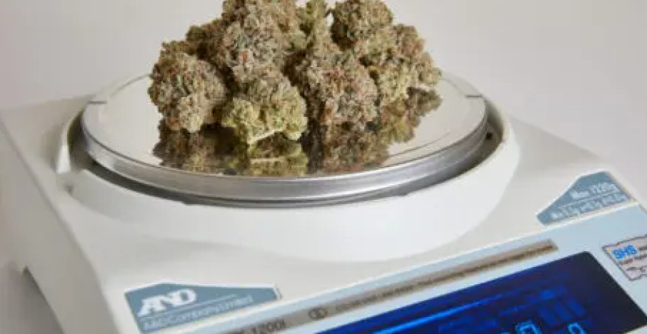 Ilustración. Ilustración.