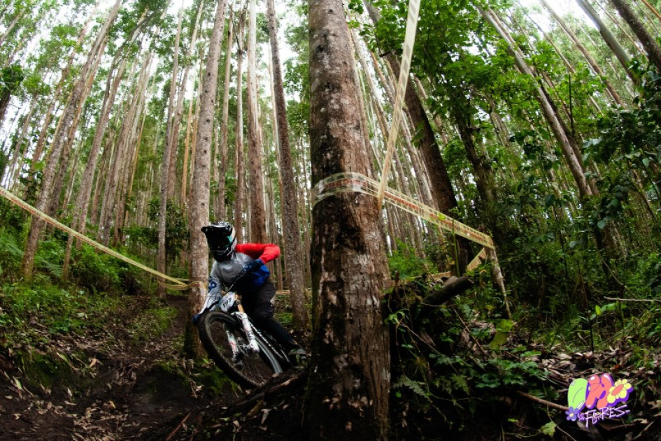 DH de Las Flores en Manizales DH de Las Flores en Manizales